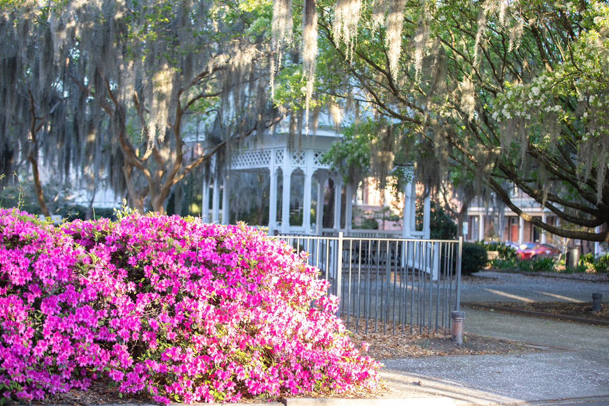 Crawford Square is located on Houston Street and is a hidden gem!